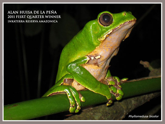 photo-001 (1)