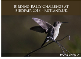 BIRDING RALLY CHALLENGE AT BIRDFAIR 2013 - RUTLAND.OK