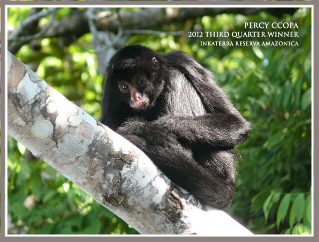 3-photo-inkaterra