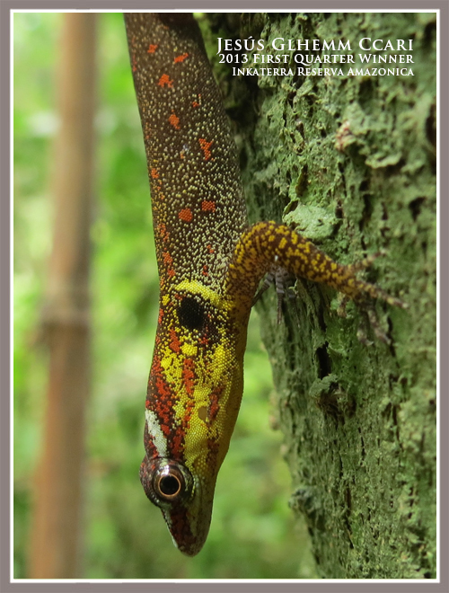 photo-contest-first-quarter-winner-2013