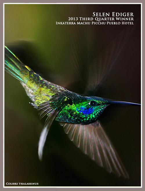 photo-contest_web