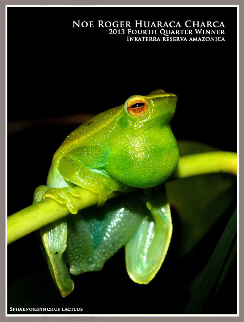 photo contest_web