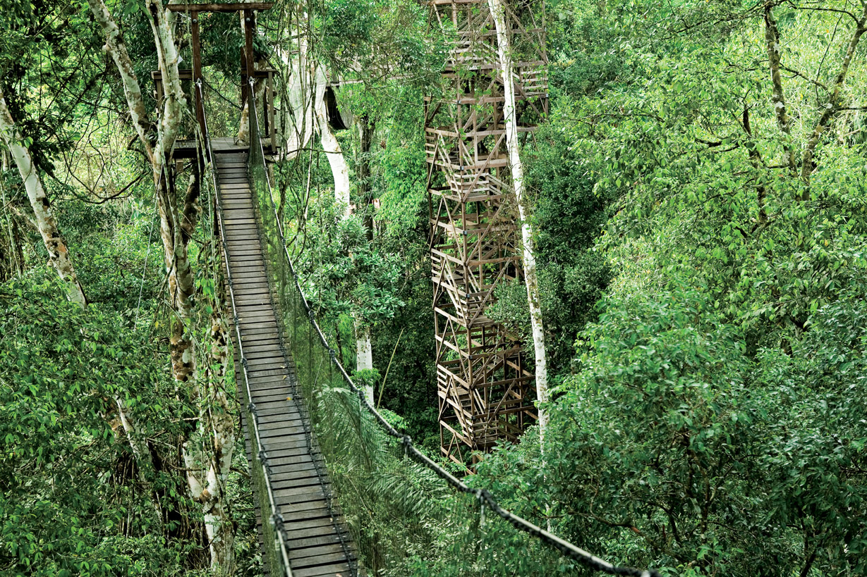Inkaterra Reserva Amazonica is a realm of discovery, with trekking trails and a canopy walkway, leading through the heart of the vast rainforest