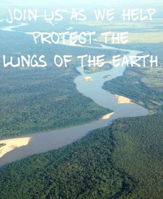 Help protect the lungs of our planet 