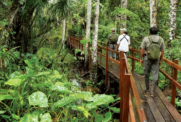 The IRCF on the Anaconda Walk 