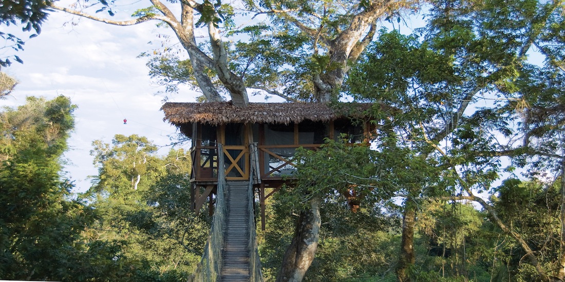 ITRA_CanopyTreeHouse - view from hanging bridge (3)