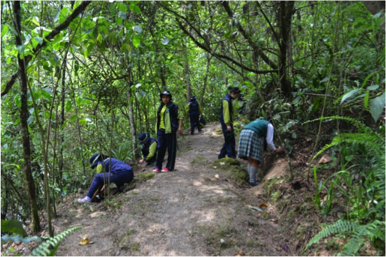 Eco Day at Machu Picchu