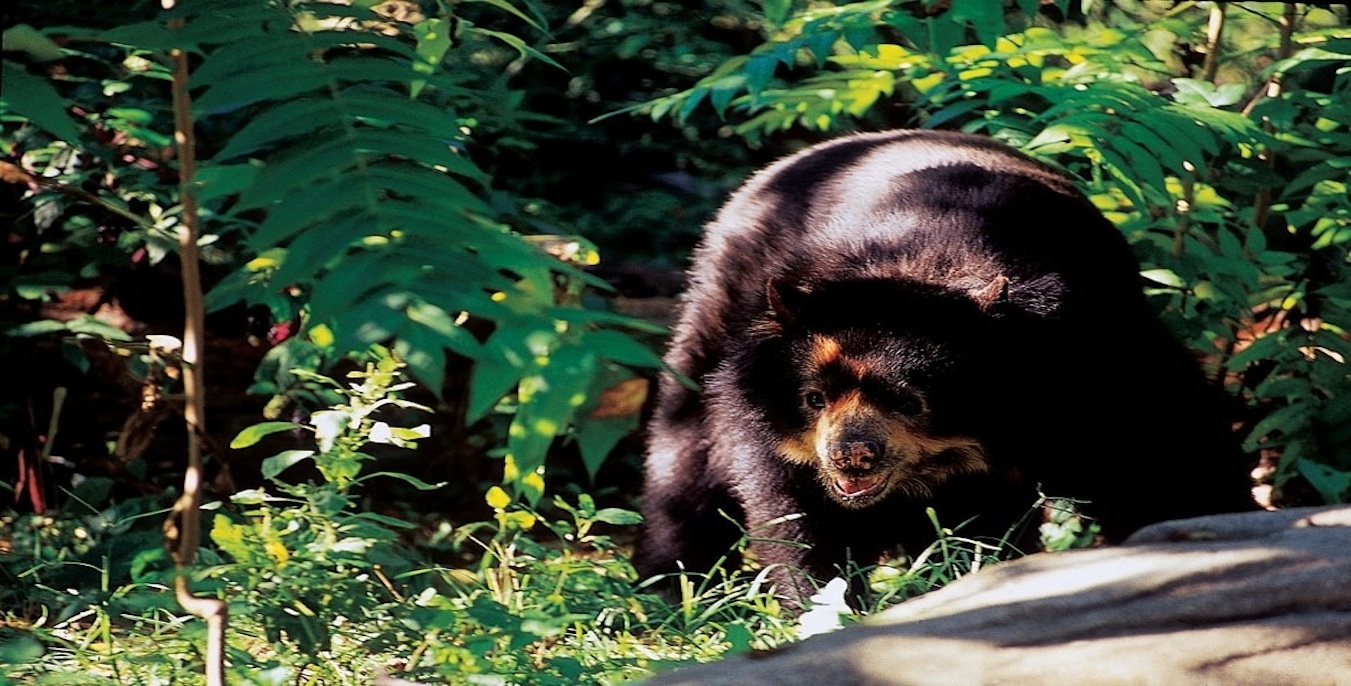 Sustainability, Conservation and the Inkaterra Asociación