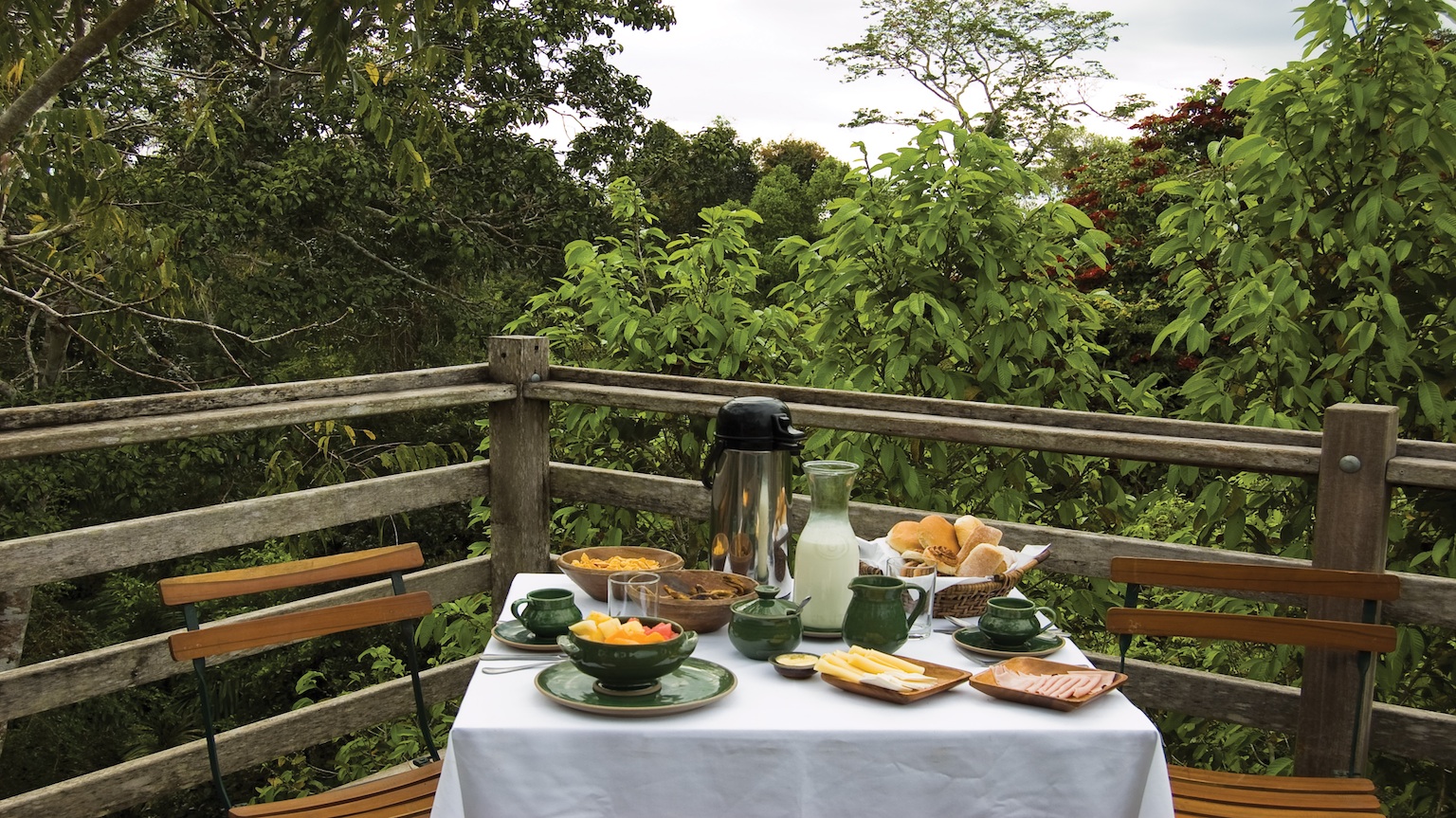 ITRA_CanopyTreeHouse - Served table among lush vegetation copy