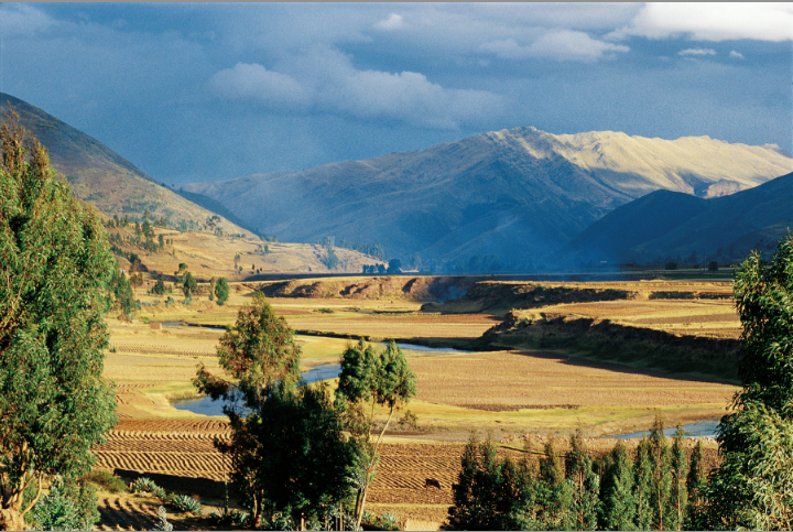 Campos Valle Sacred Valley