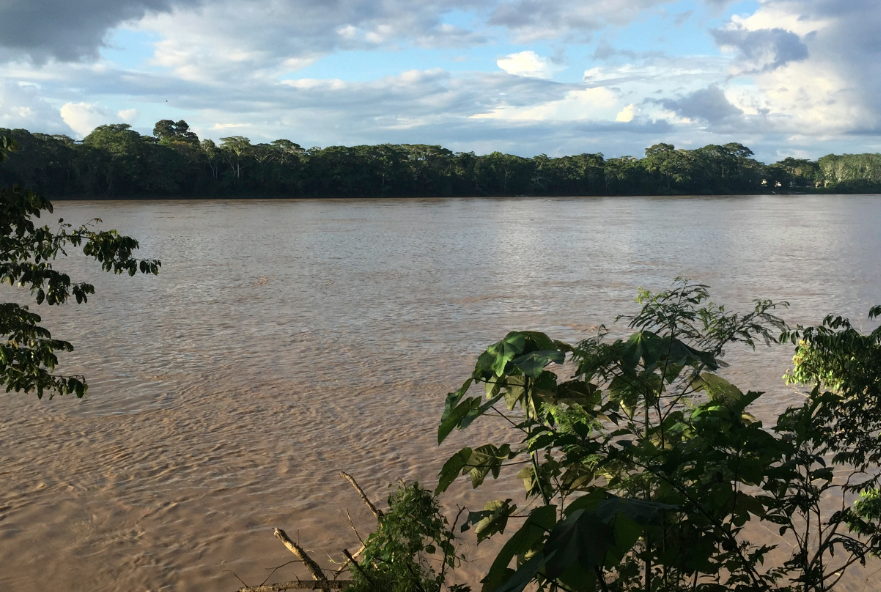 The Amazon: A Sloth Adventure
