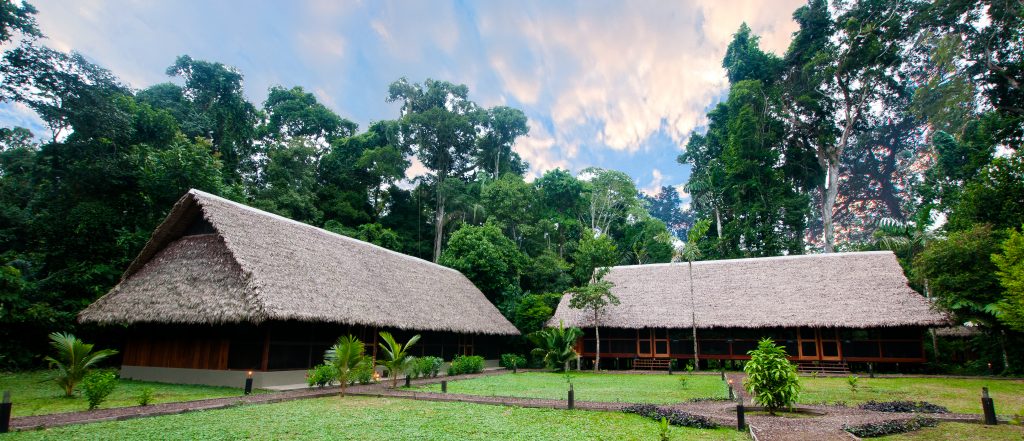 Inkaterra Guides Field Station, based near the Tambopata National Reserve welcomes visitors who are keen to explore the rainforest, and actively participate in various exciting conservation projects.