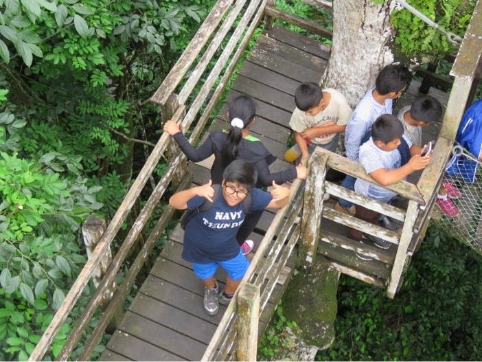 Walking along the Canopy Walkway