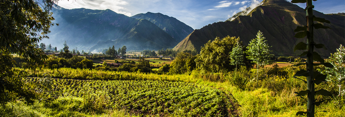 Inkaterra: Guests' Perspectives