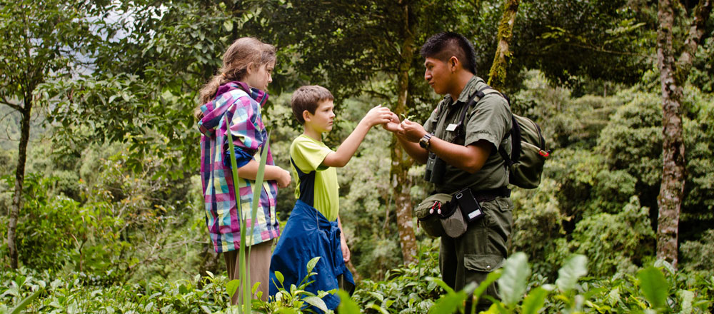 Each Inkaterra Hotels guide are equipped with an array of insight on all things Peru.