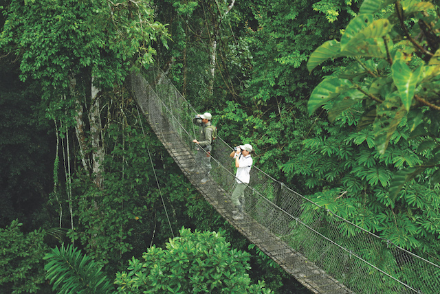 Inkaterra Canopy Walkway