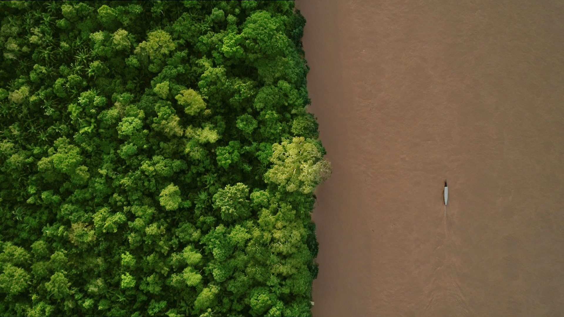 The History of Earth Day