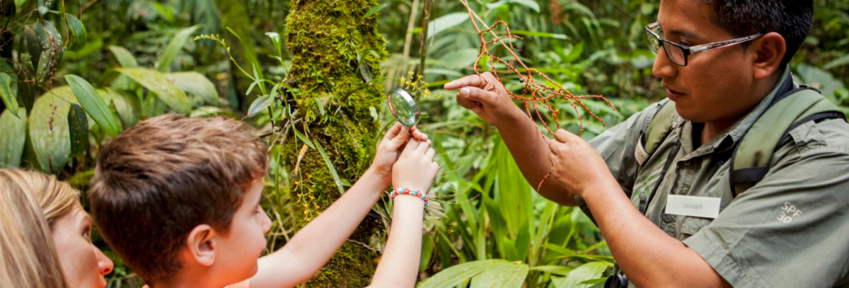 Sustainability in Peru: Plants vs Plastic