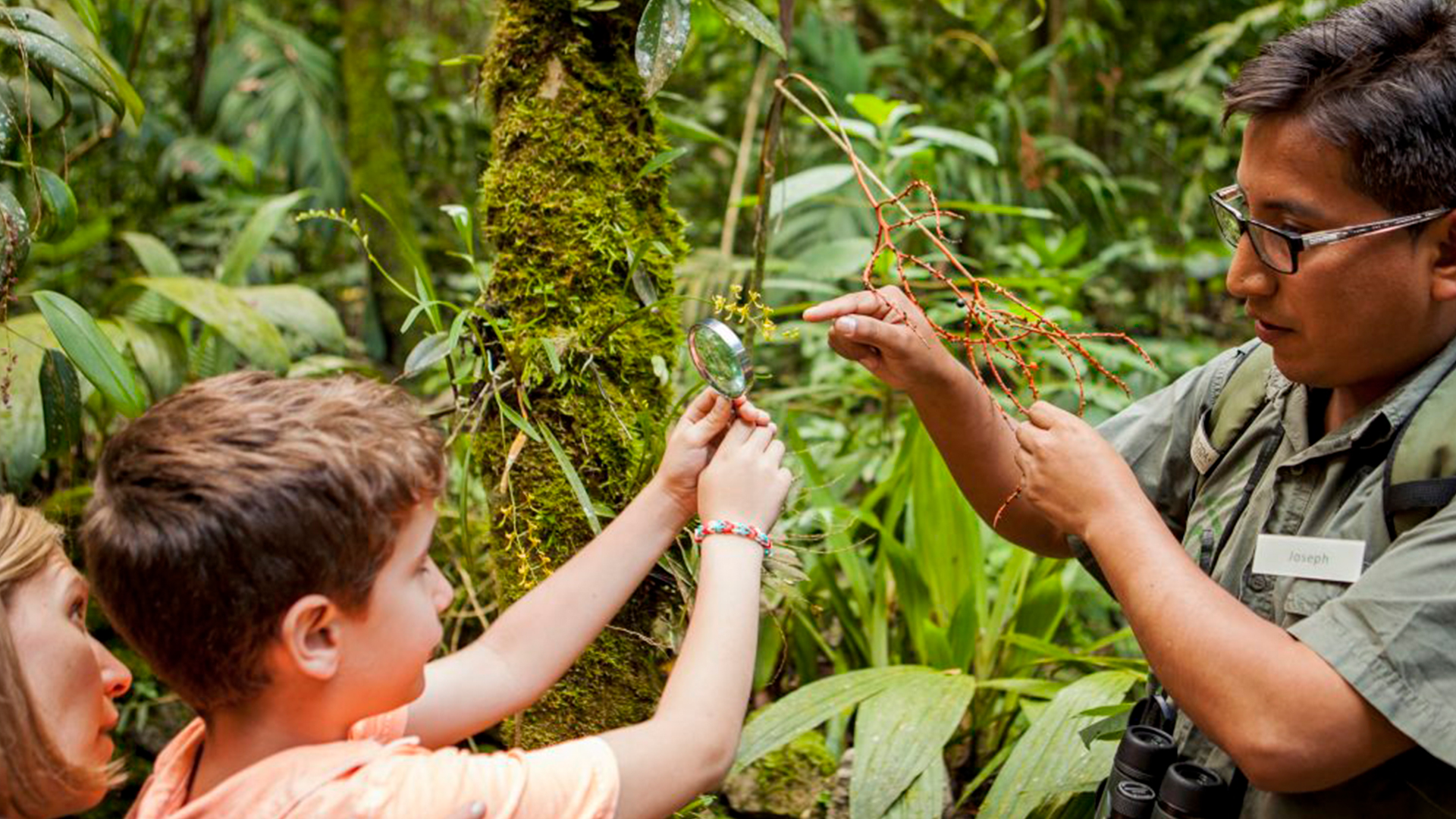 Sustainability in Peru: Plants vs Plastic