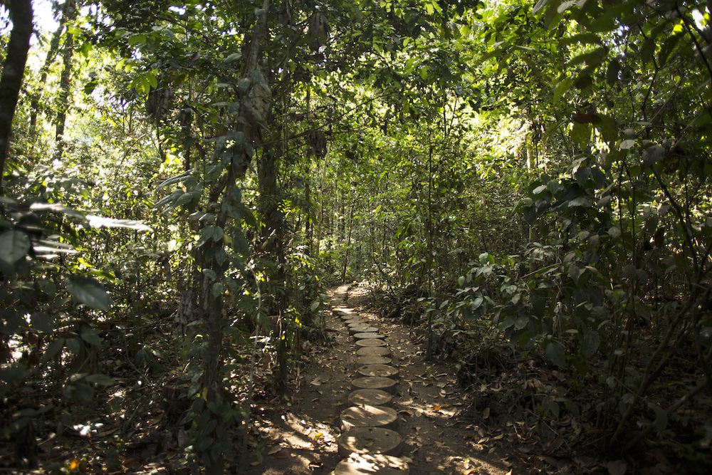 Explore the rainforest throughout the evening during Inkaterra Reserva Amazonica's "Rainforest by Night" excursion.