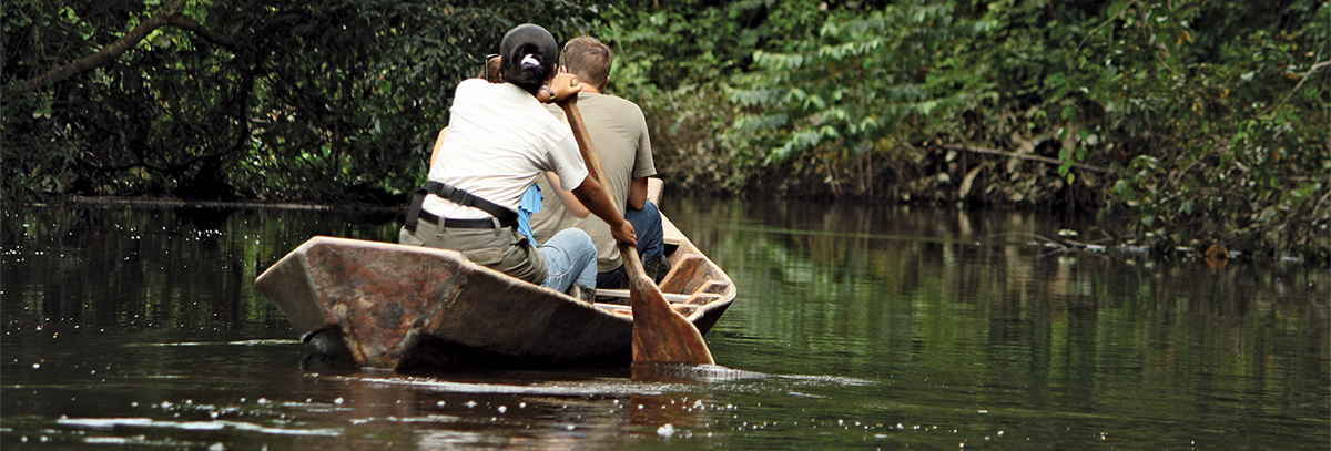 The Wonder of Peruvian Ecosystems