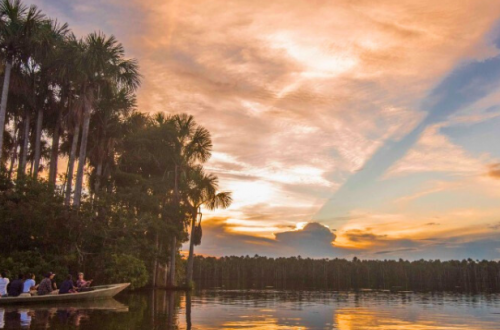 A Hidden Paradise in the Amazon Rainforest!