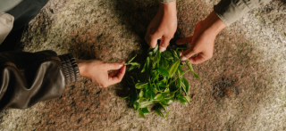 Where Tea Becomes Ritual