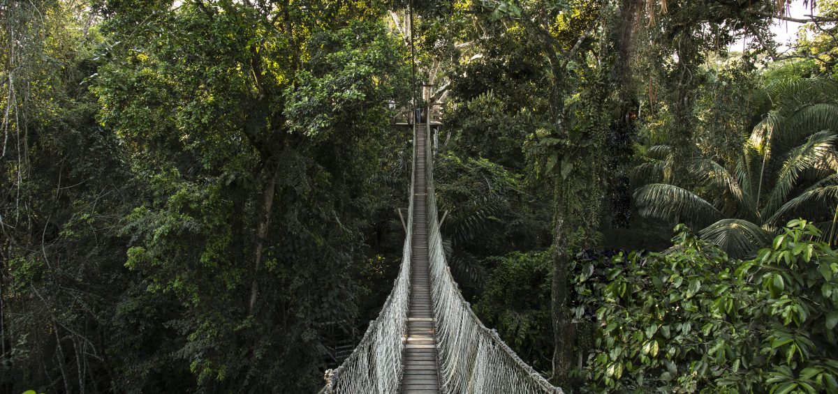 Inkaterra Canopy Walkway