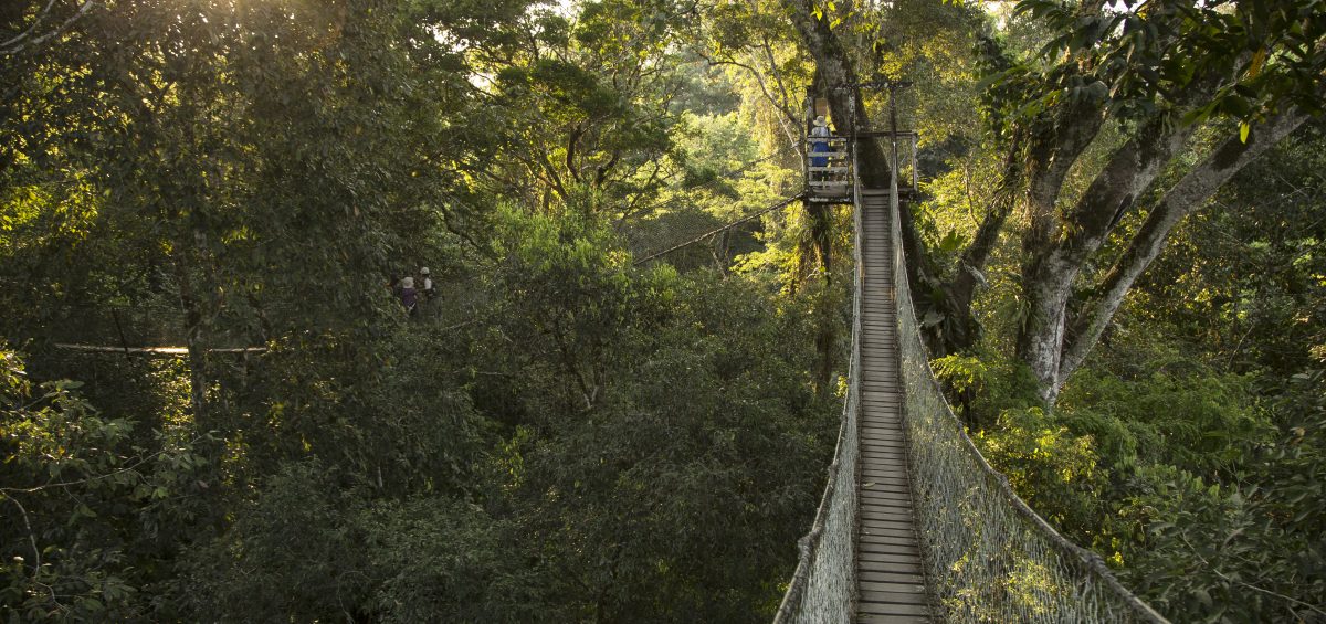 Inkaterra Canopy Walkway