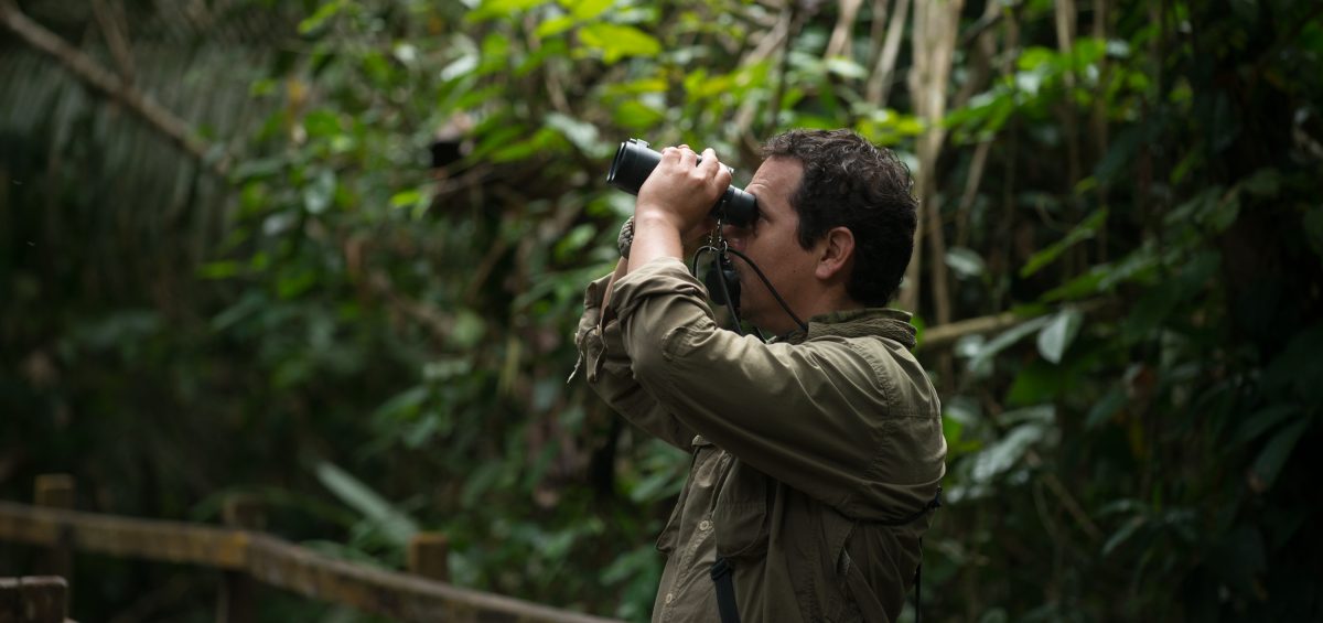Inkaterra Reserva Amazonica - Birdwatching