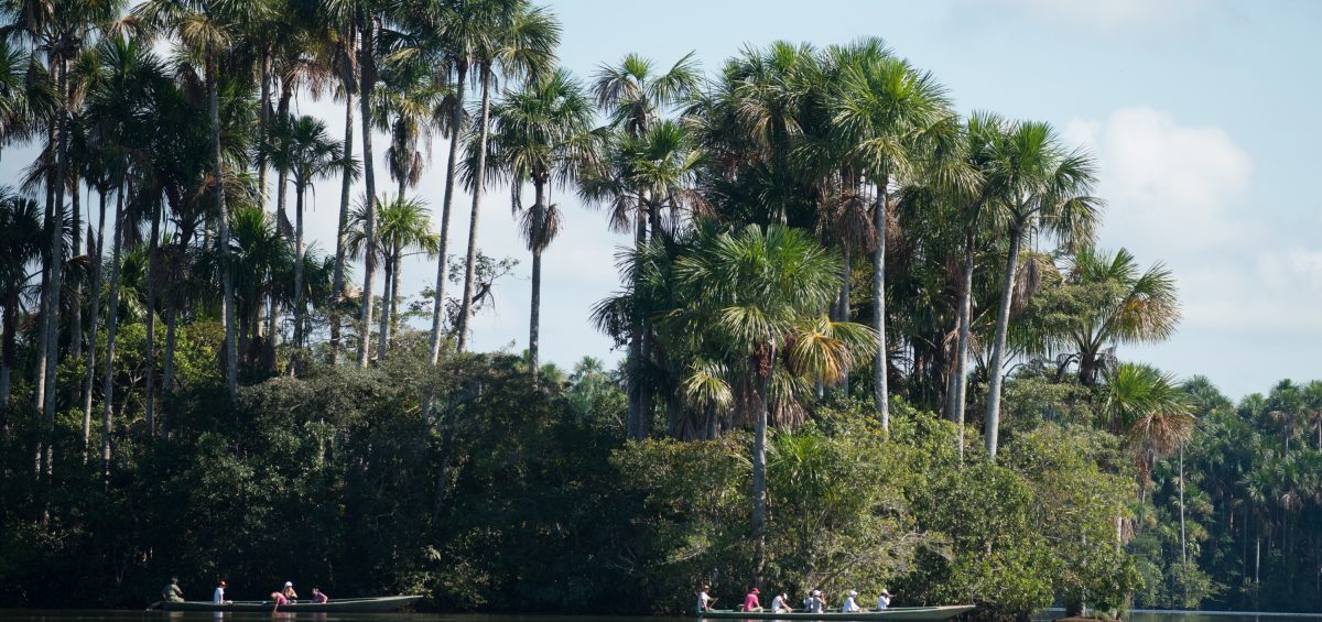 Inkaterra Reserva Amazonica - Sandoval Lake