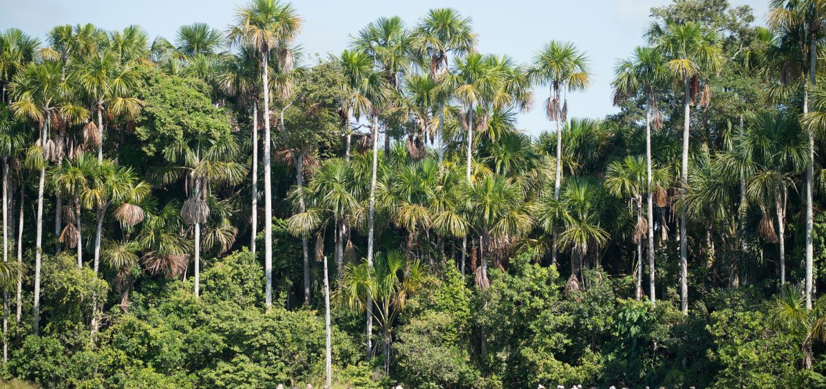 Inkaterra Hacienda Concepcion - Lake Sandoval