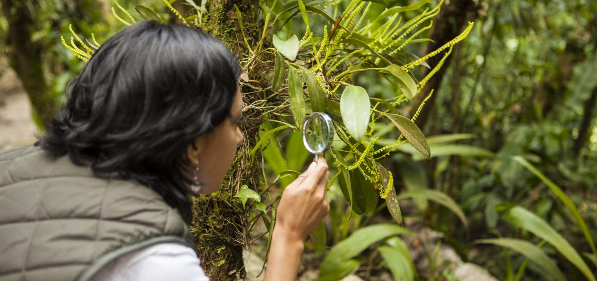 Inkaterra Machu Picchu Pueblo Hotel - Orchid Trail