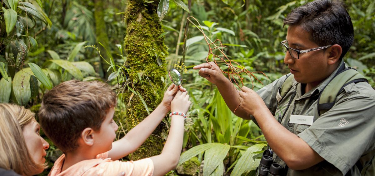 Inkaterra Machu Picchu Pueblo Hotel - Orchid Trail