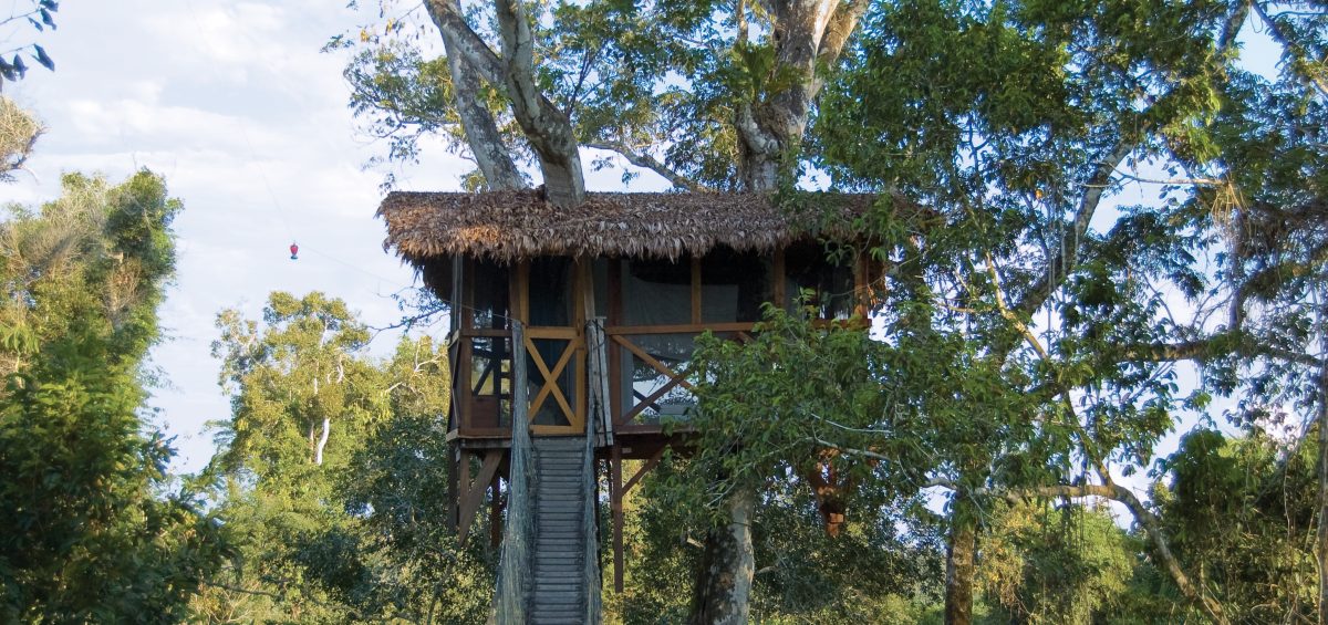 Inkaterra Canopy Tree House