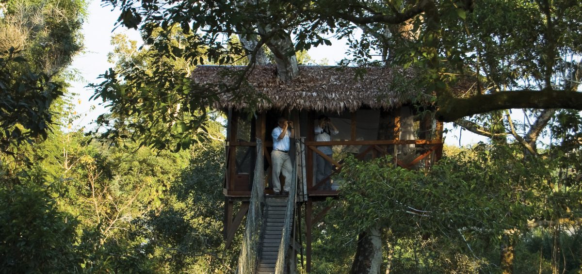 Inkaterra Canopy Tree House