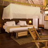 AMAZONICA SUITE