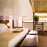 AMAZONICA SUITE