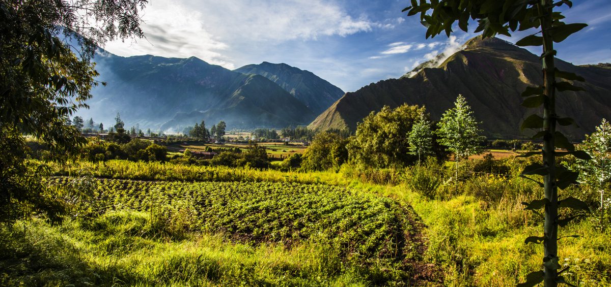 Inkaterra Hacienda Urubamba - Ecological Farm