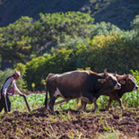 ECOLOGICAL FARM / CHACRA ECOLÓGICA