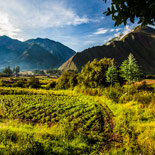 ECOLOGICAL FARM / CHACRA ECOLÓGICA