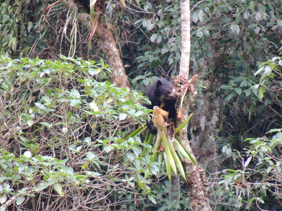 Inkaterra Machu Picchu Pueblo Hotel