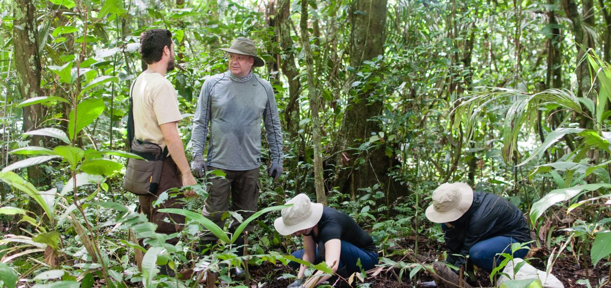 Amazon Field Station byInkaterra - Palmetum