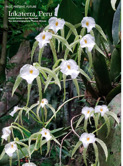 American Orchid Society (Part One)