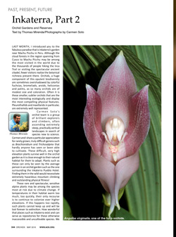 American Orchid Society Magzine