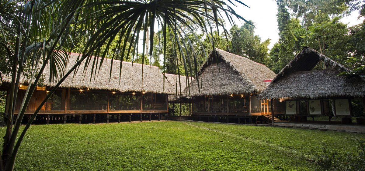 Inkaterra Centro Canopy