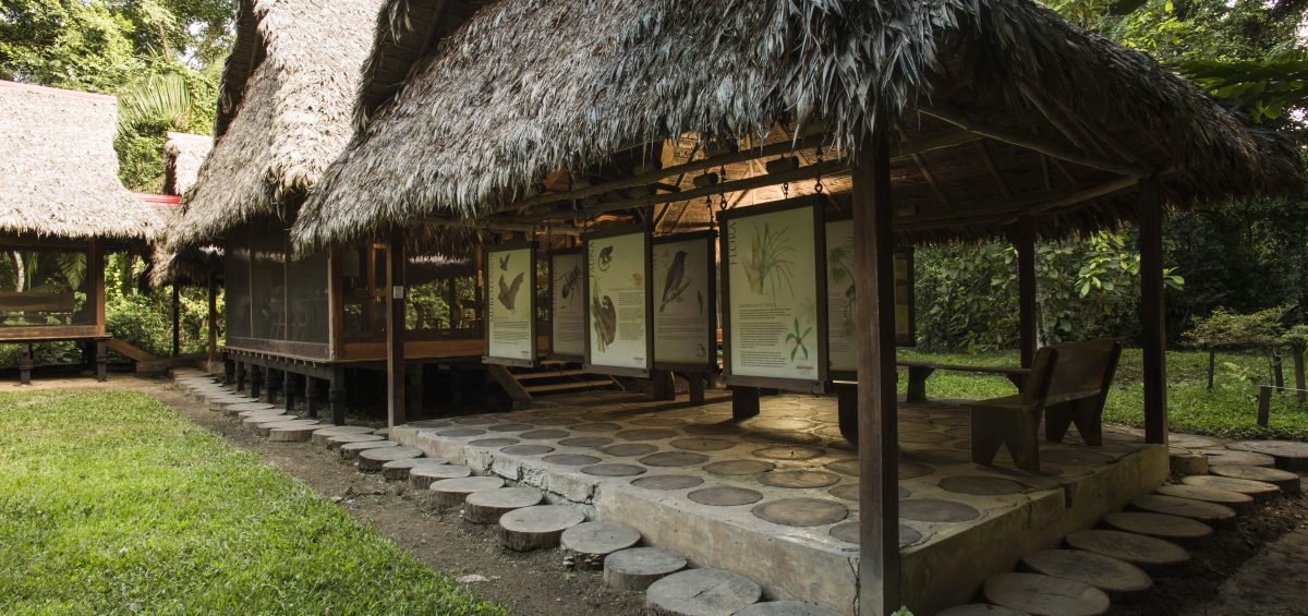 Inkaterra Centro Canopy