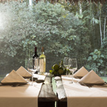 Inkaterra Centro Canopy