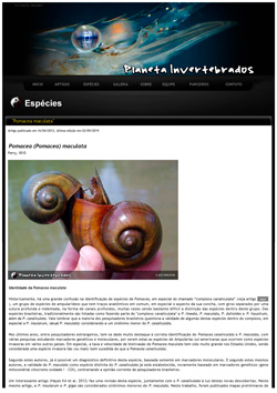 Planetainvertebrados.com.br