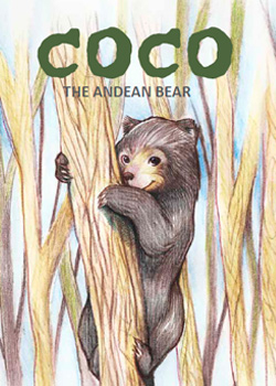 Coco, The Andean Bear
